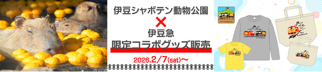 伊豆シャボテン動物公園の人気者「カピバラ」と伊豆急行の名物車両「リゾート21」がまさかの合体！？「伊豆シャボテン動物公園×伊豆急」限定コラボグッズ販売