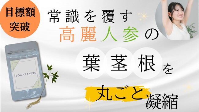 【開始2時間半で目標金額突破！】植物工場発・100%国産高麗人参サプリ「SOWAKAPURE」が大好評！