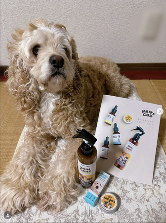 犬猫のためのCBDケアブランド「M&N’s CBD」が、保護・治療が必要な動物を支える寄付サービス「パーテ」のメインスポンサーに就任。