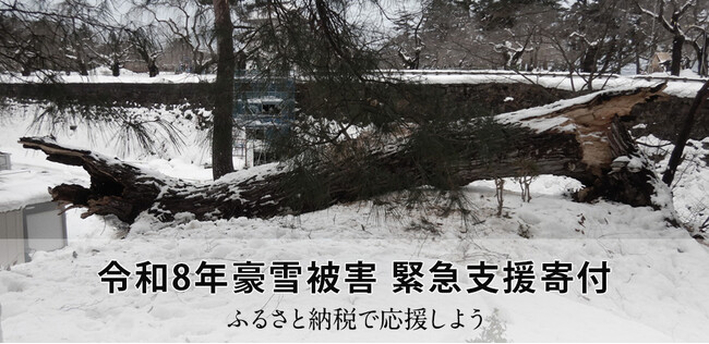 さとふる、「令和8年豪雪被害 緊急支援寄付サイト」を開設