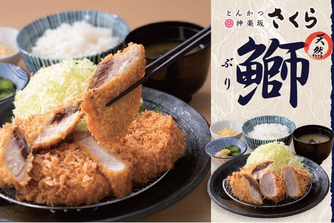 【とんかつ神楽坂さくら】天然ぶりを味わう、春待ちフライ。脂のり豊かな九州産の旨みを衣で閉じ込めた「天然ぶりのフライ」が期間限定で登場。