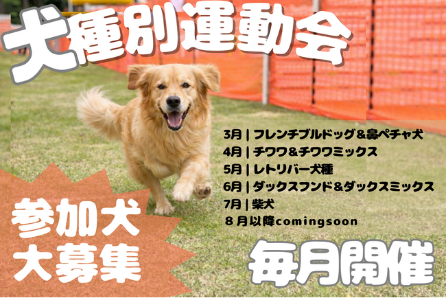 【3月から開始】同じ犬種だけで遊ぶ・楽しむ！オフ会感覚で参加できる「犬種別運動会」をエルズパーク長瀞で毎月開催。