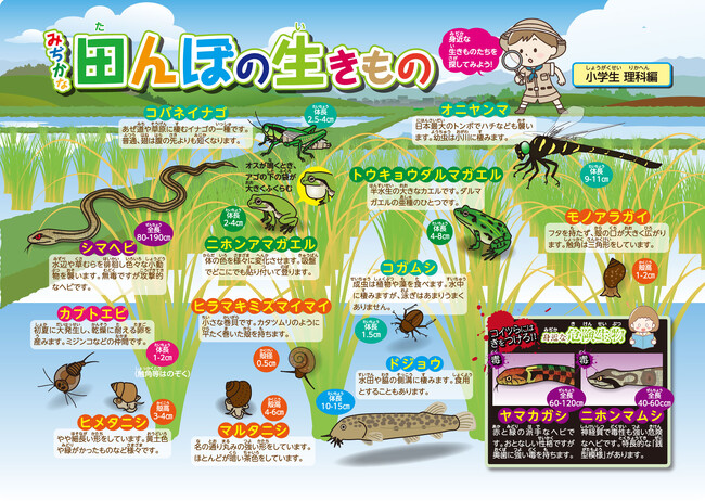 お風呂でできるデジタルデトックス。“濡らすだけで貼れる”『お風呂ポスター』専門オンラインショップが新規オープン！