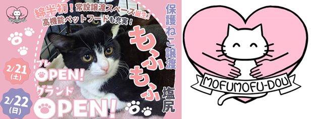 ２月22日（日）綿半塩尻店に常設譲渡施設【もふもふ塩尻】がオープン！
