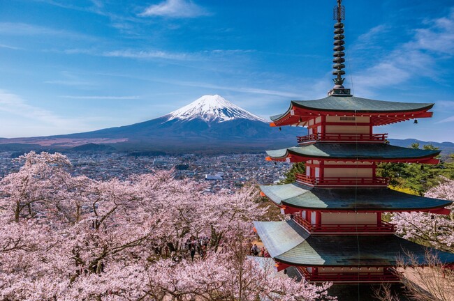 毎年20万人が訪れる、富士吉田市の春の風物詩 新倉山浅間公園桜まつりを開催しないことに決定