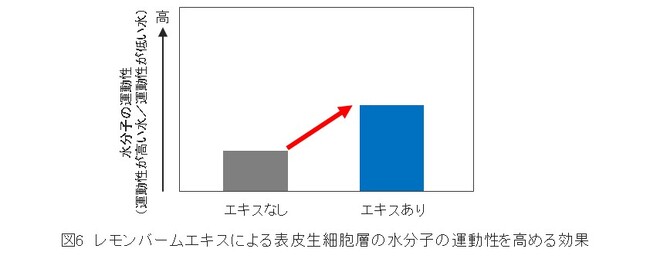 イプサ、表皮生細胞層の水分子の運動性と肌のうるおいの関係を新たに発見 ～肌の水研究が新たなステージへ～
