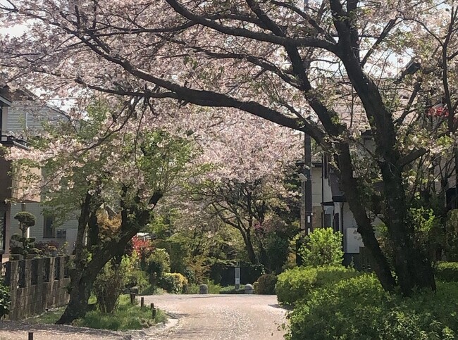 第21回住まいのまちなみコンクール最高位「国土交通大臣賞」受賞 分譲地開発から35年が経過した「佐賀県基山町けやき台」