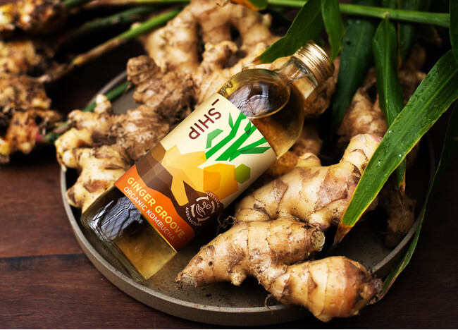 追加生産決定！「_SHIP KOMBUCHA」ご好評につき季節限定「GINGER GROOVE」を2月6日（金）より販売を再開いたします ～数量限定で再生産、全国の店舗で順次発売～