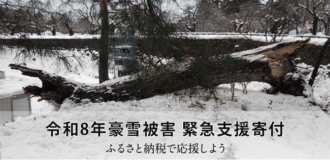 さとふる、「令和8年豪雪被害 緊急支援寄付サイト」で新たに青森県2自治体、秋田県3自治体の寄付受け付けを開始