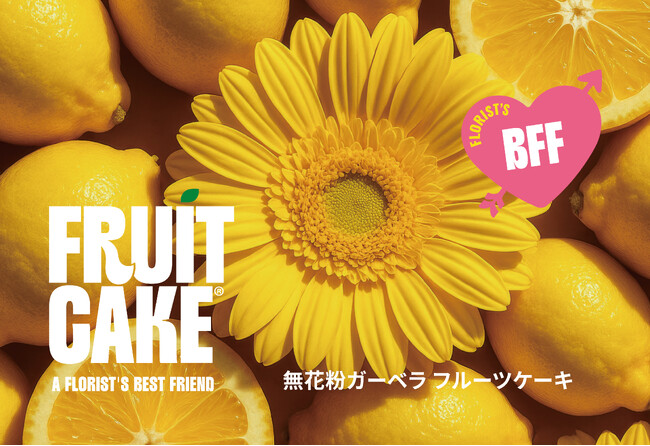 お花屋さんの味方「無花粉ガーベラ フルーツケーキ」、ブランドとして本格始動