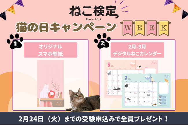 2月22日は猫の日！『ねこ検定 猫の日キャンペーンウィーク』スタート