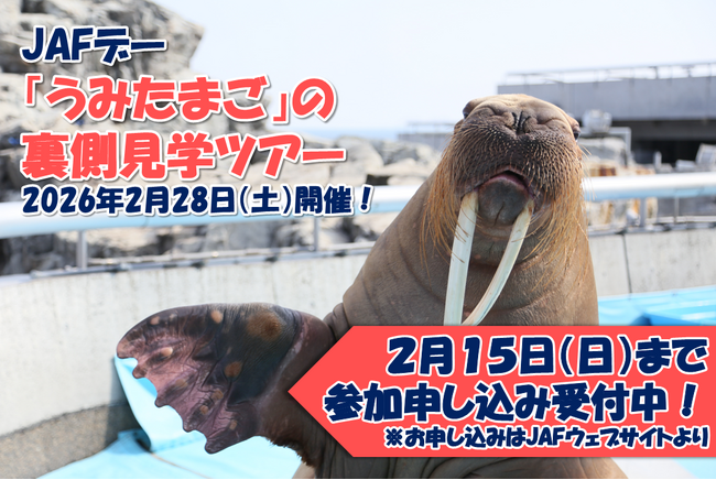 【JAF大分】大分マリーンパレス水族館「うみたまご」で、裏側見学ツアーを開催！普段は見られない「うみたまご」のバックヤードを覗いてみよう！
