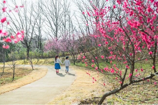 小さな春がいっぱい！「早春フェスタ」を開催します（国営讃岐まんのう公園）