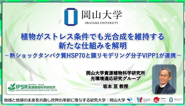 【岡山大学】植物がストレス条件でも光合成を維持する新たな仕組みを解明 -熱ショックタンパク質HSP70と膜リモデリング分子VIPP1が連携-