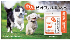 「わんビオフェルミンS」、「にゃんビオフェルミンS」を東海地区最大級のペットイベント「わんにゃんドーム2026」に初出展