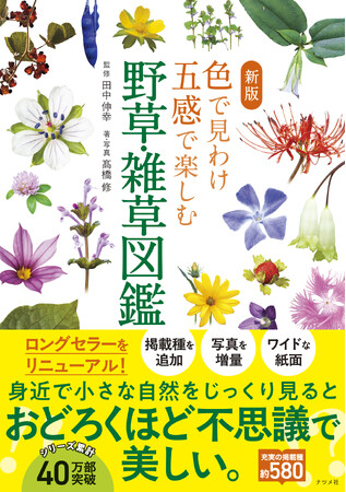 好評のロングセラー本をリニューアル『新版　色で見わけ五感で楽しむ野草・雑草図鑑』が2月18日発売！