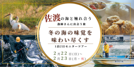 寒ブリ尽くし×牡蠣尽くし冬の佐渡グルメ旅。海の恵みと漁師に出会う、1泊2日の特別体験へ。