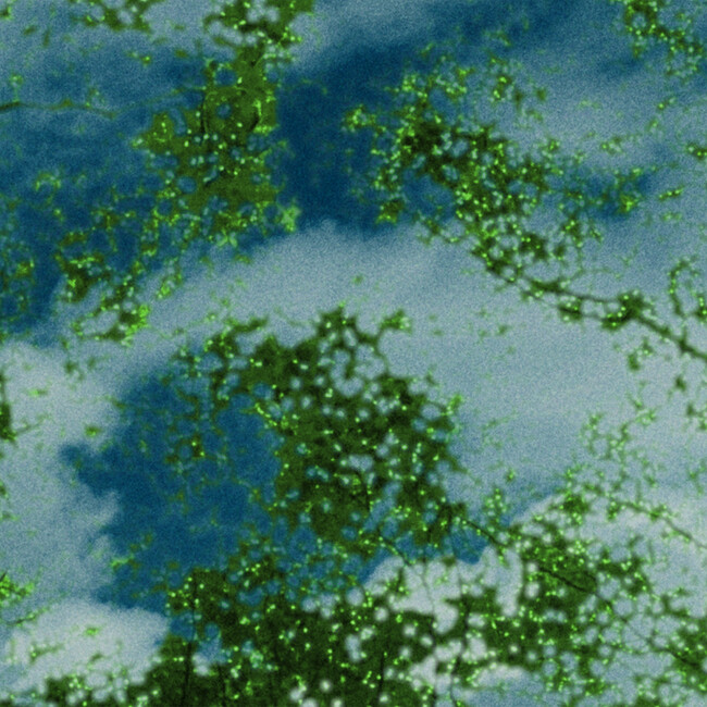 CreativeDrugStore が「残像 16FLIP Remix」をリリース！