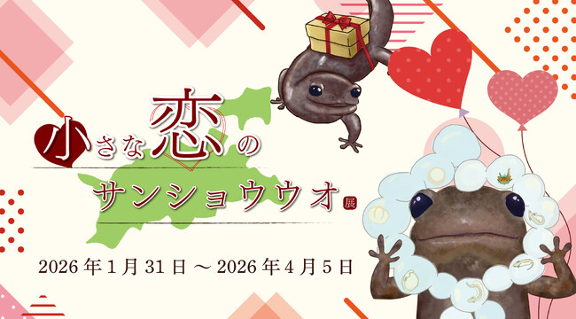 サンショウウオの恋の季節がやってくる 四国水族館で『小さな恋のサンショウウオ展』を開催中