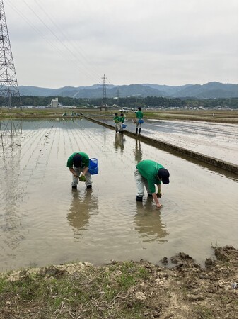 長岡農業高校生が手がける「〇結（えんむすび）」