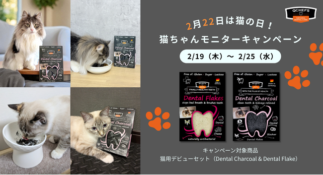 【2月22日は猫の日????】おいしく噛んで、お口の健康維持を。QCHEFS、猫の日にちなんだ〈22名様〉モニターキャンペーン開催