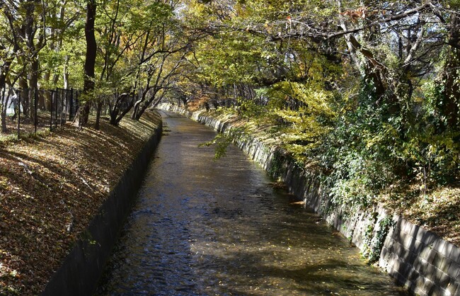 【取材のご案内】新編立川市史関連講演会「鷹場と玉川上水からさぐる江戸時代の砂川」とパネル展を開催します（申込不要・参加費無料）