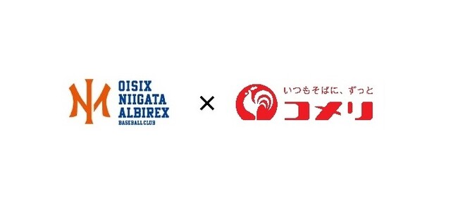 オイシックス新潟アルビレックスBC　ユニフォームトップス・胸上（右）契約更新のお知らせ