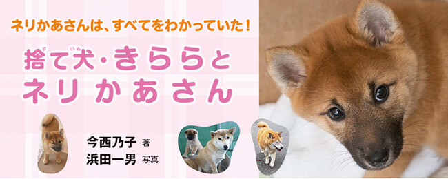 【新刊情報】命の重みと人間と犬の絆を考えるノンフィクション『捨て犬・きららとネリかあさん』(今西乃子・著／浜田一男・写真)発売！ 累計部数50万部突破「捨て犬・未来＆きらら」シリーズ最新刊！