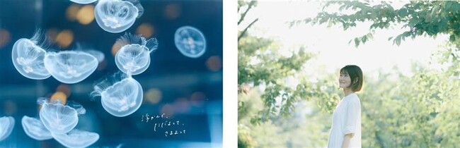 写真プリントの魅力を再発見！カメラと写真の展示会「CP＋2026」に出展