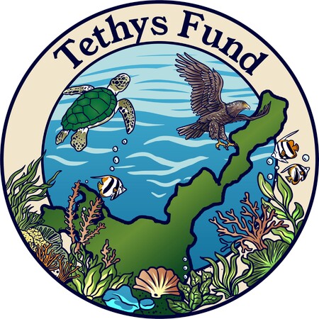 ＜助成先公募＞第2回「Tethys基金～石垣島・海の教育事業助成～」募集開始（2026/2/13～4/13）
