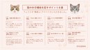 猫の水分補給を促すポイント8選