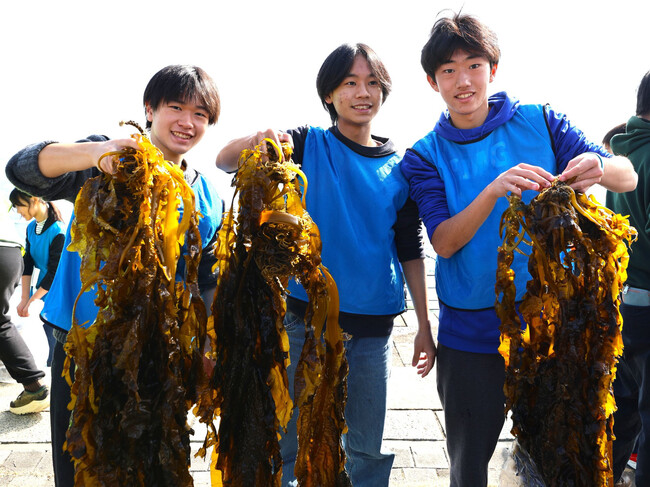 横浜の海で高校生たちが収穫したワカメを使ったパンを、七里ヶ浜「Pacific BAKERY」で無料配布。