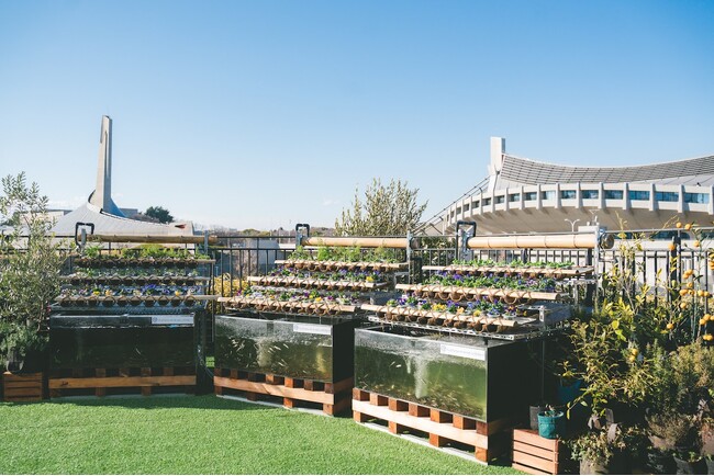 都会の真ん中で“心と体をととのえる”体験を ー「AGRIKO FARM PW 代々木公園」開園