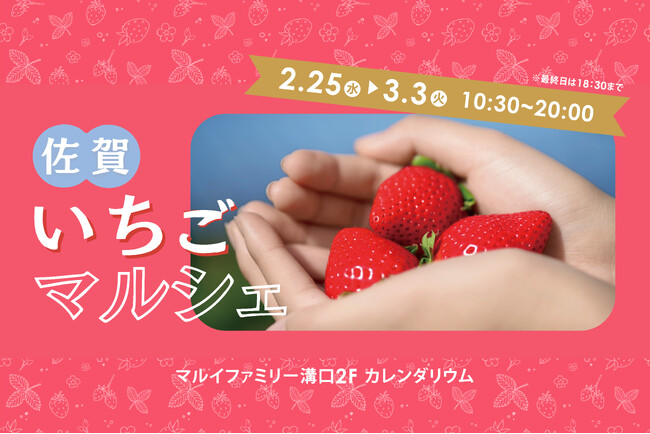 大人気イベントが3年ぶりに帰ってくる！佐賀のおいしいいちごが大集合！マルイファミリー溝口にて「佐賀いちごマルシェ」開催