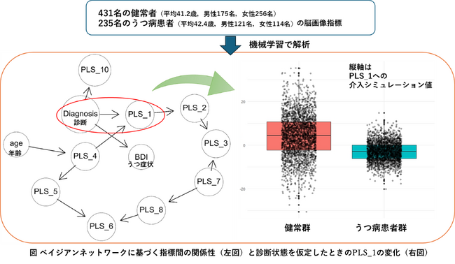 うつ病診断と脳機能結合の潜在的な関係構造が明らかに―機械学習を用いた大規模データ分析による新たな知見―