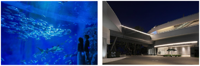 【神戸須磨シーワールド】幻想的な空間でゆったりと夜の生きものを観察　夜の水族館「ナイトアクアライブ」開催　期間：2026年3月21日（土）～4月5日（日）