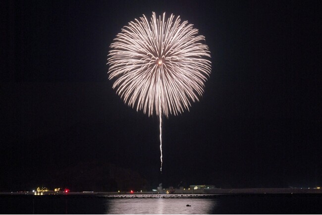 震災30年まで、咲かせ続ける 3.11鎮魂の花火「白菊」を次世代へ繋ぐ挑戦