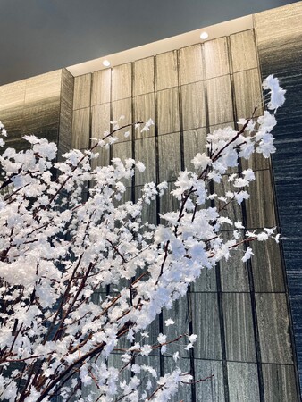 【日本の伝統×サステナビリティ】アルチザン、100%自然素材へ進化した「和紙の桜」2026 年プロジェクトを本格始動