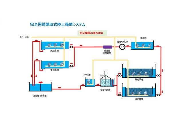 エイムが、人工海水を用いた完全閉鎖循環式陸上養殖システムをトヨタ紡織株式会社へ販売