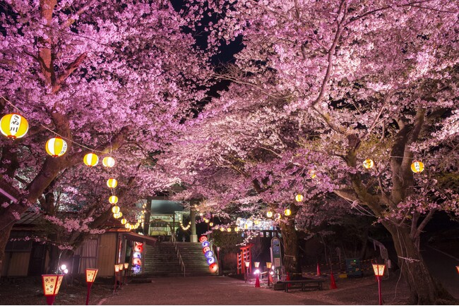 「行く春の花を訪ねる日光路」初春から初夏の心踊る花めぐり