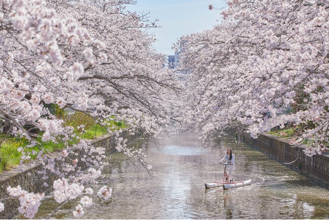 【BEB5土浦】360°桜に包まれる絶景を川面から独り占め！「お花見水上サイクリング」今年も開催