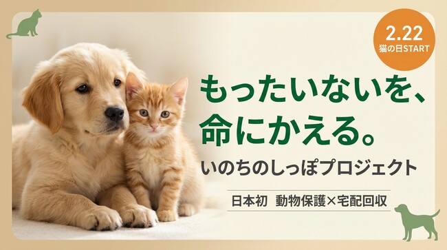 【猫の日】不用品で保護猫を救う「いのちのしっぽ」開始