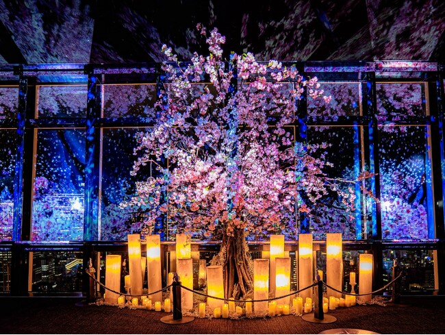 東京タワー 春の夜景が桜色に染まるマッピングショー『TOKYO TOWER CITY LIGHT FANTASIA - Spring Concerto 2026 -』2月28日(土)から開催