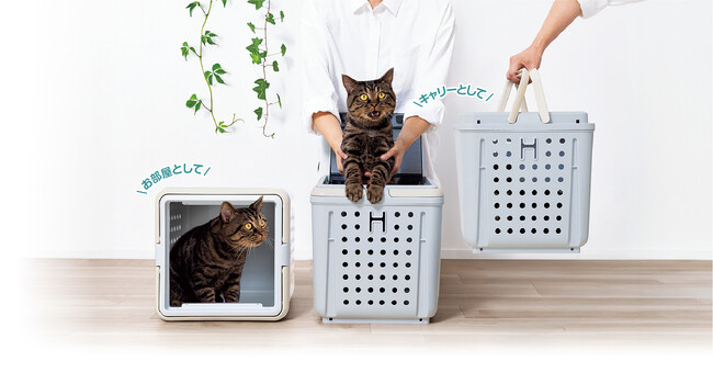 慣れたお部屋がそのままキャリーに！猫用のルーム&キャリー「キュービックルーム」発売前モニターキャンペーンを実施
