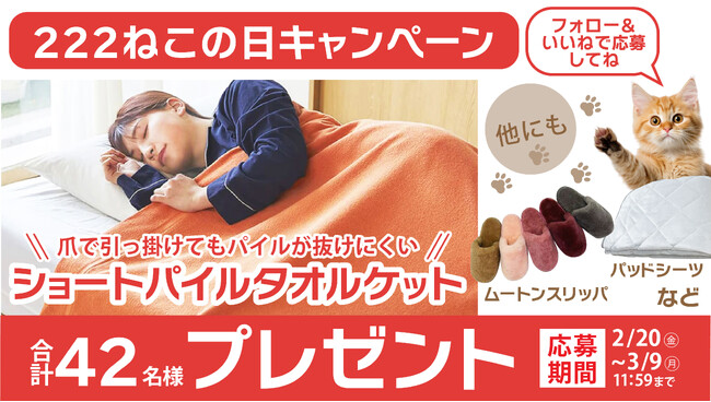 【2月22日は猫の日】42名に昭和西川の寝具をプレゼント！昭和西川公式Instagram ねこの日キャンペーンを実施！