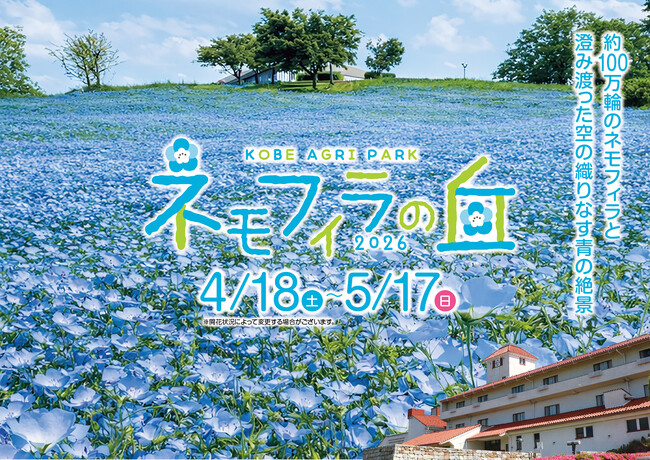 約100万輪のネモフィラと澄み渡った空の織りなす青の絶景　『こうべアグリパークネモフィラの丘2026』を開催