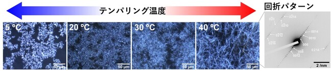 【ミヨシ油脂】広島大学と北海道大学との共同研究論文を発表、結晶の形と長さを制御し「油」を強く固める新技術
