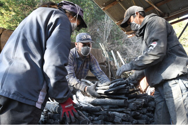 室町から続く炭焼き 黒川地区で一庫炭（菊炭）の窯出し、始まる / 兵庫県川西市