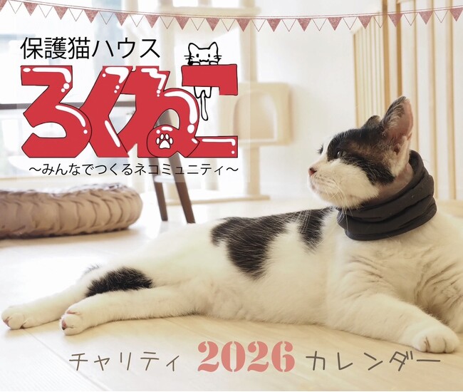 保護猫ハウス「ろくねこ」1周年記念セミナー開催、チャリティカレンダー発売とサポーター募集を開始