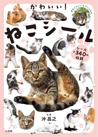 シールブーム到来、2月22日（猫の日）におすすめのシールブックが誕生！ 貼っても貼っても猫だらけの、満足感がすごい至福の一冊です。まるごとシールブックDX『かわいい！ねこシール』小学館より好評発売中！